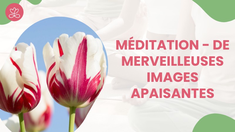6. Méditation - De merveilleuses images apaisantes avec Michelle Maillard